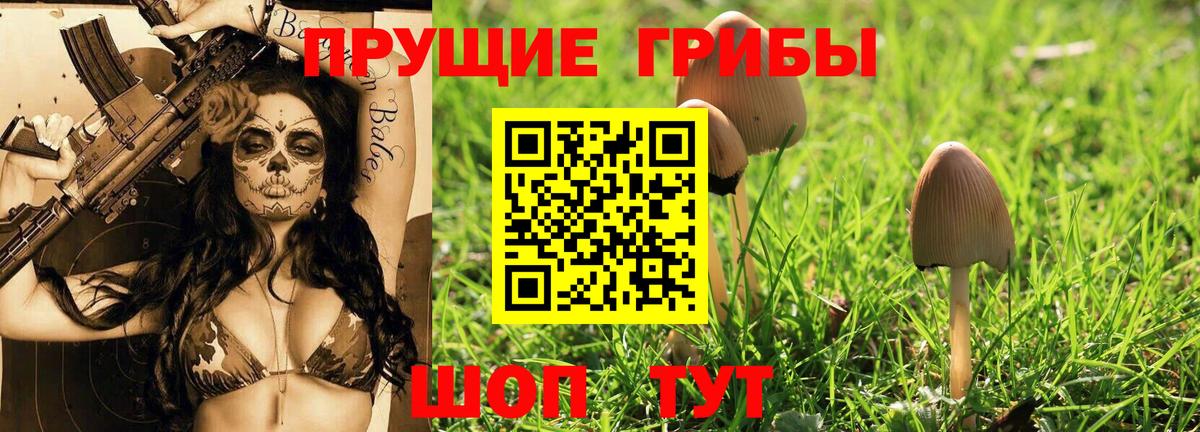 Балашов  Псилоцибиновые грибы мицелий  Вход с VPN  Галлюциногенные грибы Magic Shrooms 